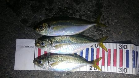 小さなあたりをしっかりと感じて